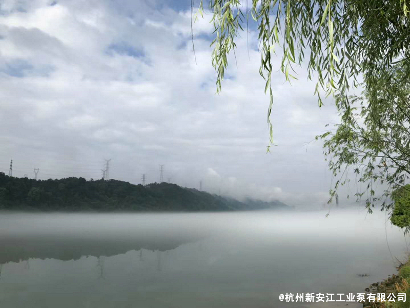 草莓视频在线 (2)