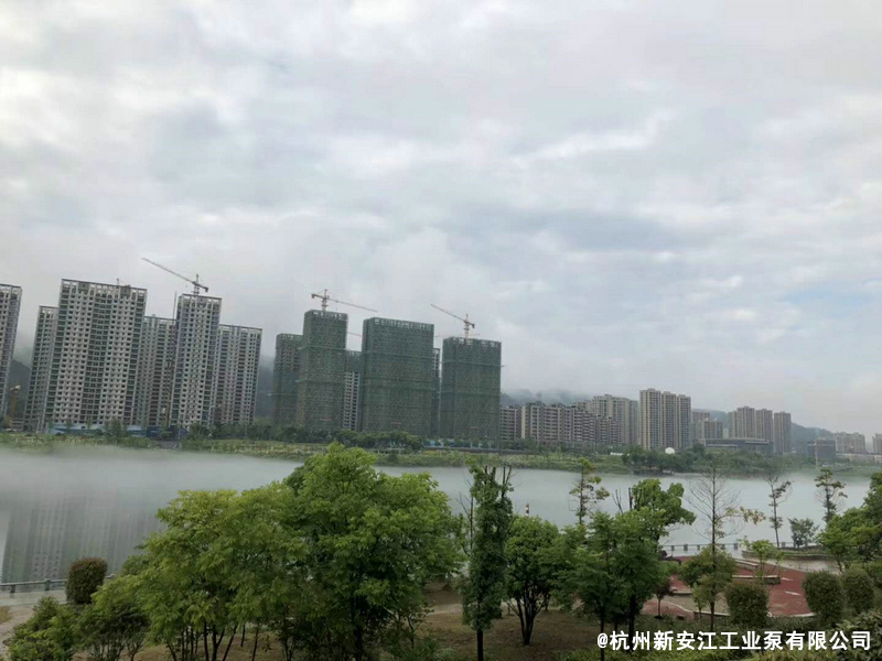 草莓视频在线 (7)