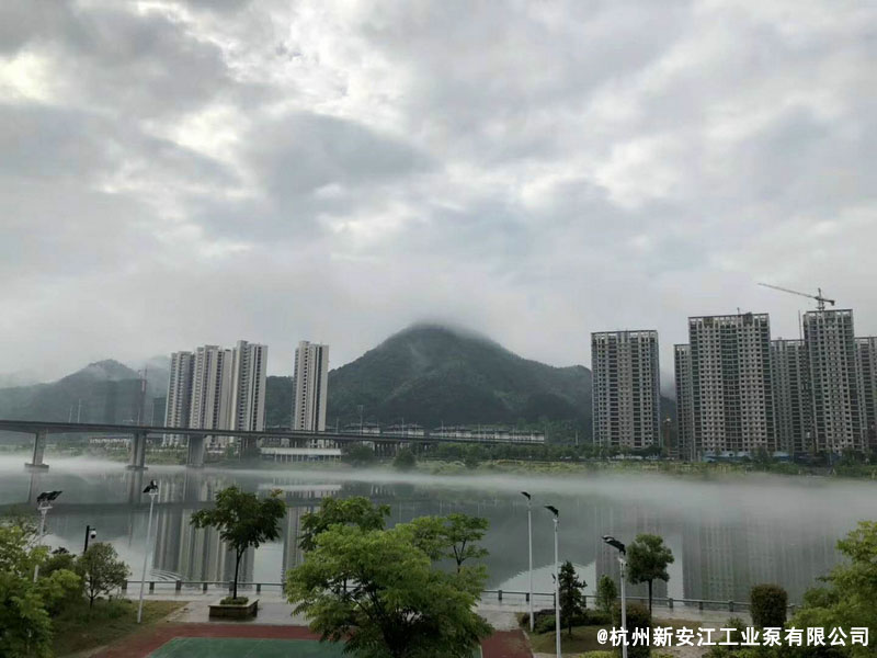 草莓视频在线 (8)