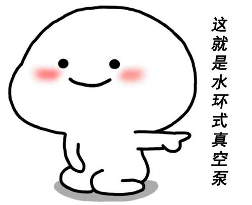 水環式真（zhēn）空泵（bèng） (2)