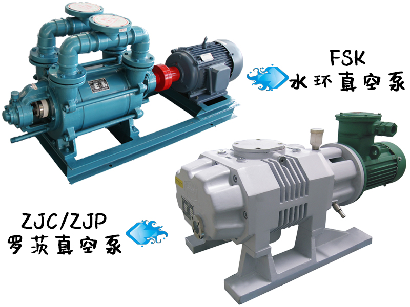造紙羅茨真空泵和水環式真空泵的特點