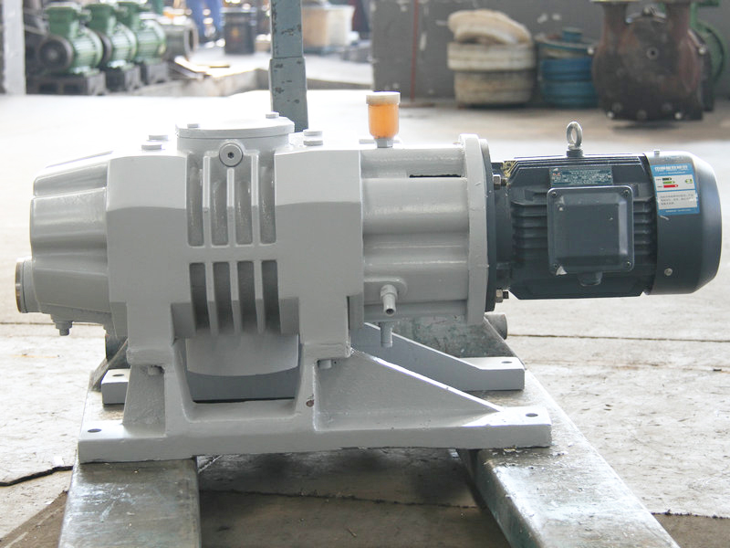 ZJC-ZJP羅茨真（zhēn）空泵 (2)