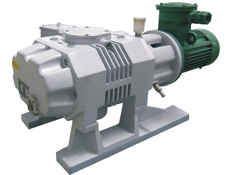 羅（luó）茨真空泵出現噪音的原因