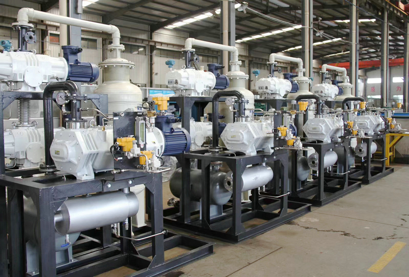 羅茨（cí）螺杆真空泵機組-杭州草莓视频在线工業泵有限公司 (2)