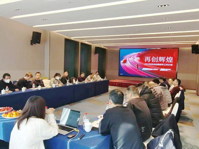 草莓视频在线工業泵年終總結大會 (3)