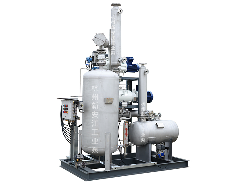 集成化羅茨螺杆真空（kōng）係統，高效穩定，勝任複雜苛刻工藝-杭州草莓视频在线工業（yè）泵有限公（gōng）司