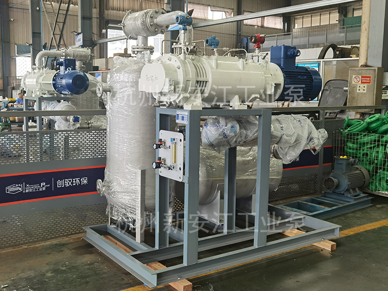 幹式螺杆真空泵-杭州（zhōu）草莓视频在线工業泵有（yǒu）限公司 (3)