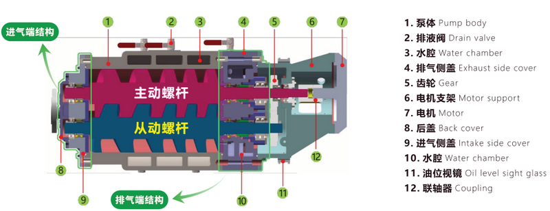 螺杆泵內（nèi）部結構圖（tú）