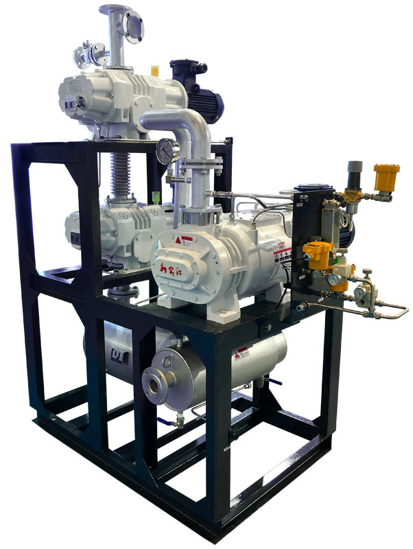 螺杆真空泵 (10)